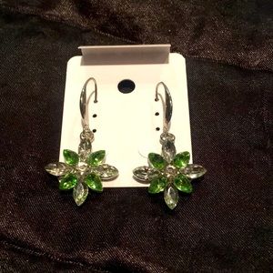 Stunning crystal Earrings